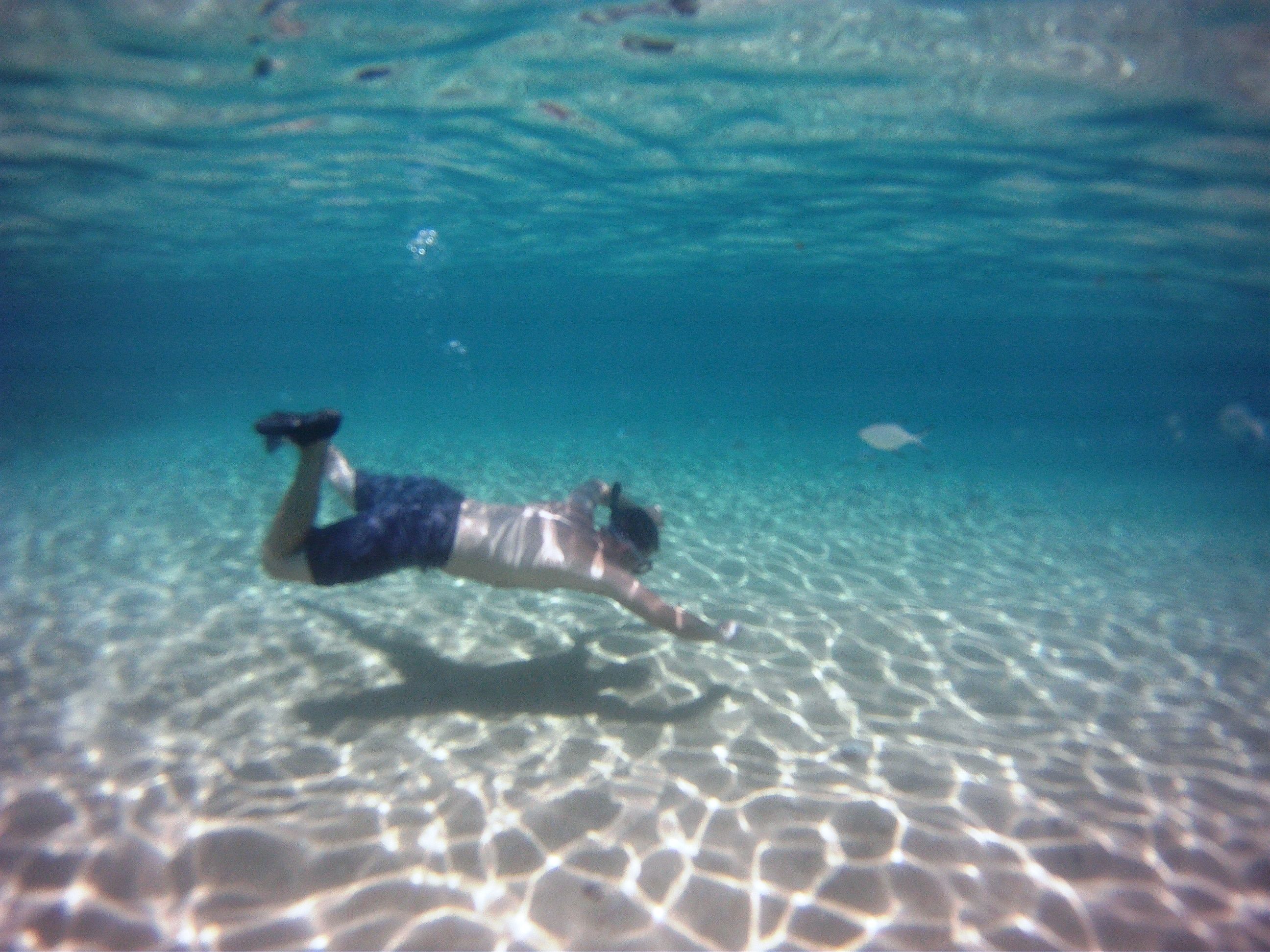 🏖️ 큰 항구 해변(오오도마리 비치) 이미지 6